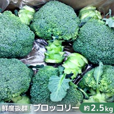 【ふるさと納税】鮮度抜群！ブロッコリー 約2.5kg 野菜 野菜セット 　お届け：2024年11月下旬～2025年6月中旬