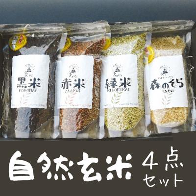 【ふるさと納税】自然玄米4点セット お米