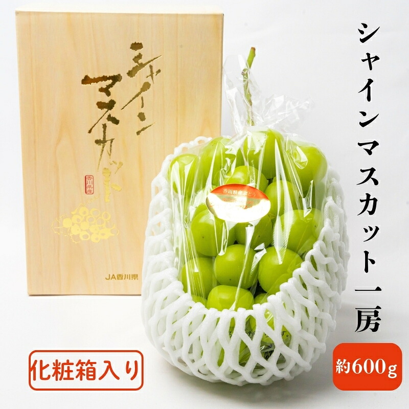 【ふるさと納税】ハウス育ち シャインマスカット約600ｇ　1房化粧箱入り 果物類 フルーツ 果物 ぶどう 葡萄 約600g 　お届け：2026年7月下旬～8月中旬