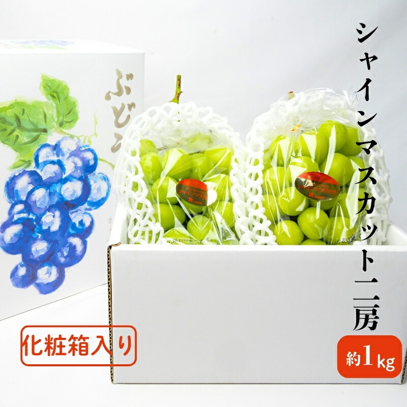 【ふるさと納税】ハウス育ち シャインマスカット約１kg　2房化粧箱入り 果物類 フルーツ 果物 ぶどう 葡萄 約1kg 　お届け：2025年7月下旬～8月中旬