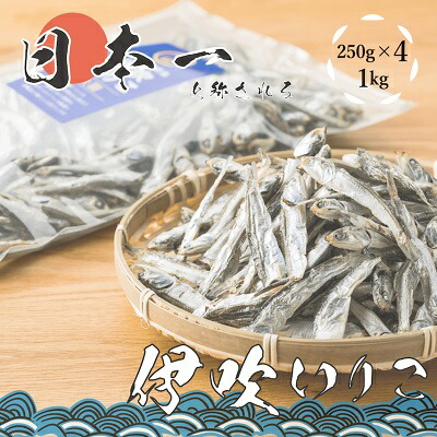 【ふるさと納税】いりこの産地から！伊吹いりこ 大羽 1kg（250ｇ×4袋） 加工食品 魚貝類 干物