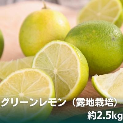 【ふるさと納税】2025年秋よりお届け グリーンレモン（露地栽培）約2.5kg 果物類 柑橘類 柑橘 檸檬 　お届け：2025年10月上旬～12月上旬