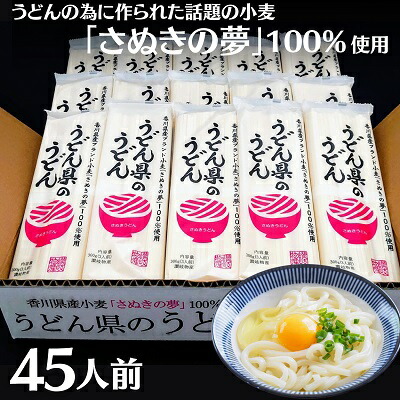【ふるさと納税】本場 讃岐うどん 乾麺【うどん県のうどん】45人前 300g×15袋入り さぬき 香川県産 おとりよせ 麺類