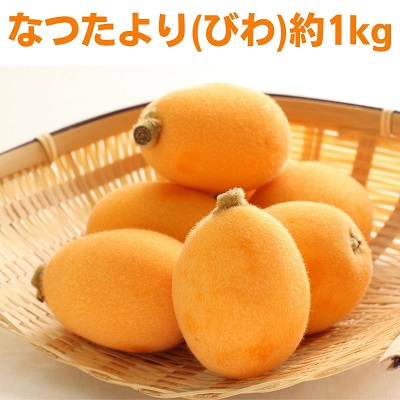 【ふるさと納税】なつたより（びわ）約1kg さぬき産フルーツ 果物類 枇杷 　お届け：2025年5月下旬～6月下旬