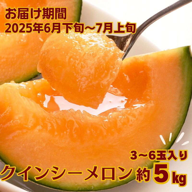【ふるさと納税】クインシー メロン（赤肉）約5kg 果物類 フルーツ メロン赤肉 　お届け：2025年6月下旬～7月上旬