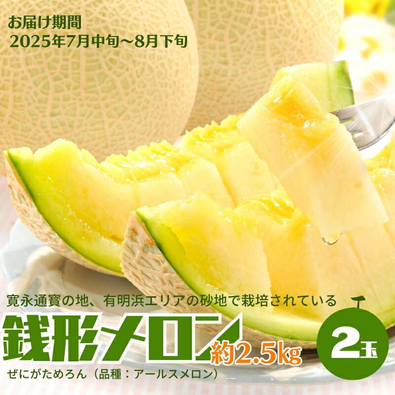 【ふるさと納税】銭形メロン 2玉 化粧箱入り 約2.5kg　［アールスメロン］ 果物類 フルーツ 　お届け：2025年7月中旬～8月下旬