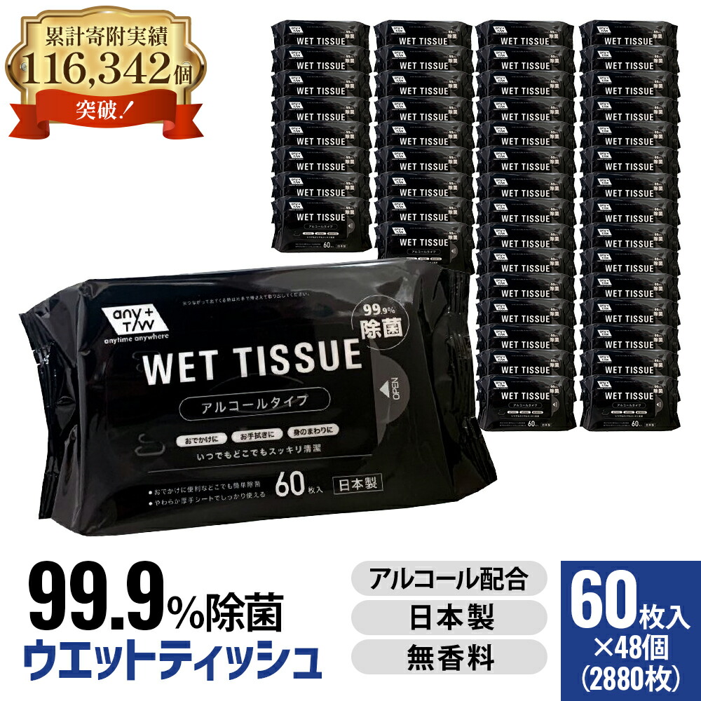 【ふるさと納税】99.9％ 除菌ウエットティッシュ 60枚入48個セット（2880枚）　お届け：ご寄附（入金）確認後、2週間で順次出荷いたします。