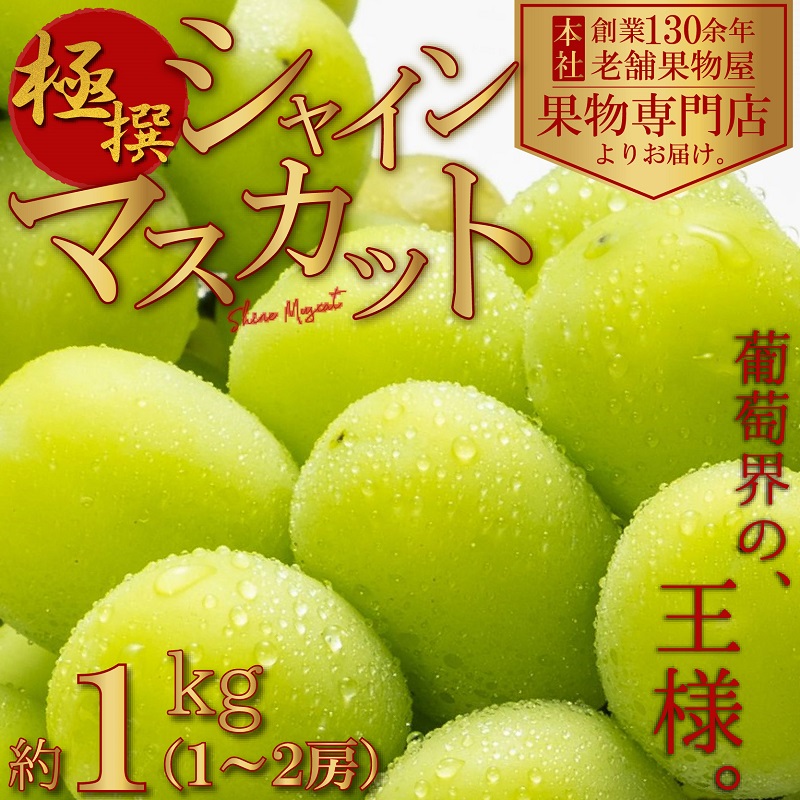 楽天市場】【ふるさと納税】大粒 特選 大房シャインマスカット 約750g