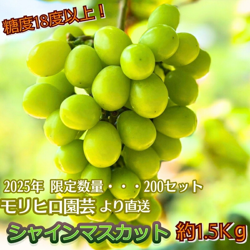 楽天市場】【ふるさと納税】ハウス育ち シャインマスカット約 楽天市場】【ふるさと納税】ハウス育ち シャインマスカット約