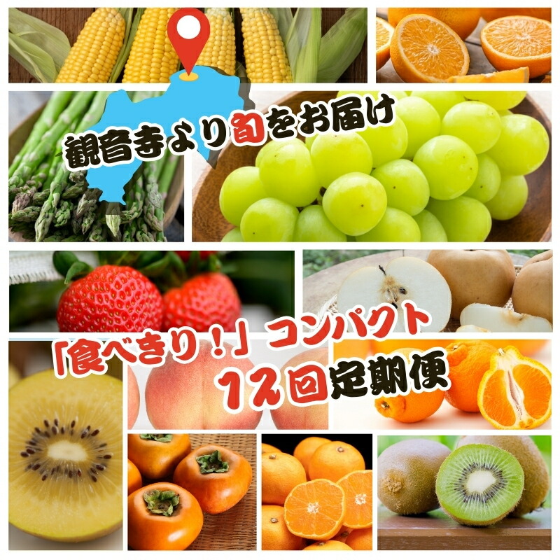 【ふるさと納税】【2025年受付】ご家庭用 食べきり 旬菜旬果フルーツ定期便 全12回 　お届け：寄附ご入金確認月の翌月以降の出荷月より12回お届けいたします。