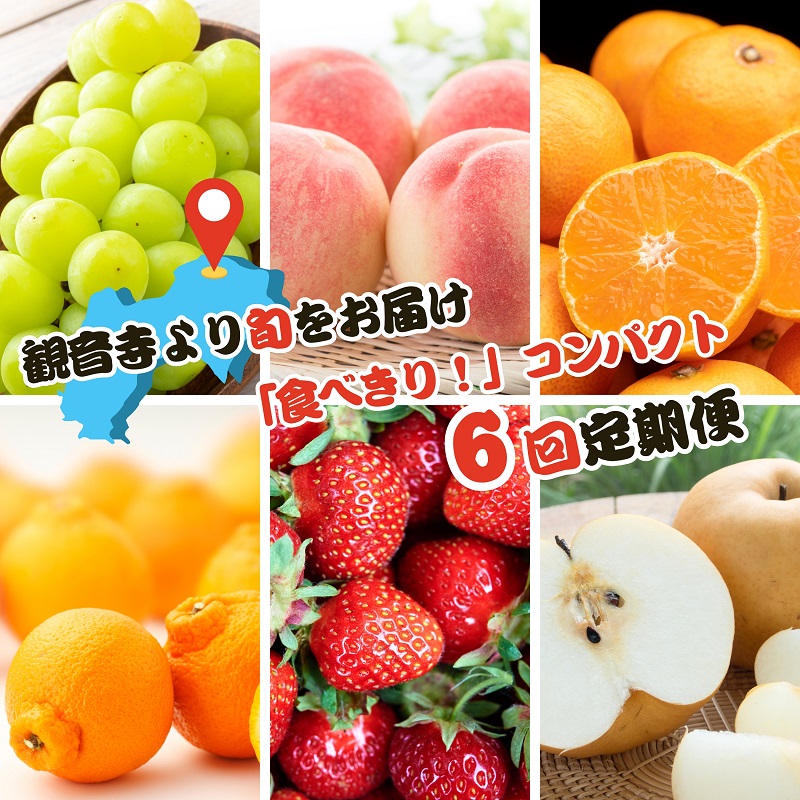 【ふるさと納税】【2025年受付】ご家庭用 食べきり 旬果フルーツ定期便 全6回 　お届け：寄附ご入金確認月の翌月以降の出荷月より6回お届けいたします。