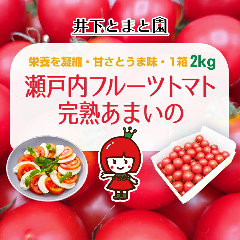 【ふるさと納税】井下とまと園の完熟 フルーツトマト 約2kg 果物類 野菜 　お届け：2024年11月下旬～2025年6月下旬