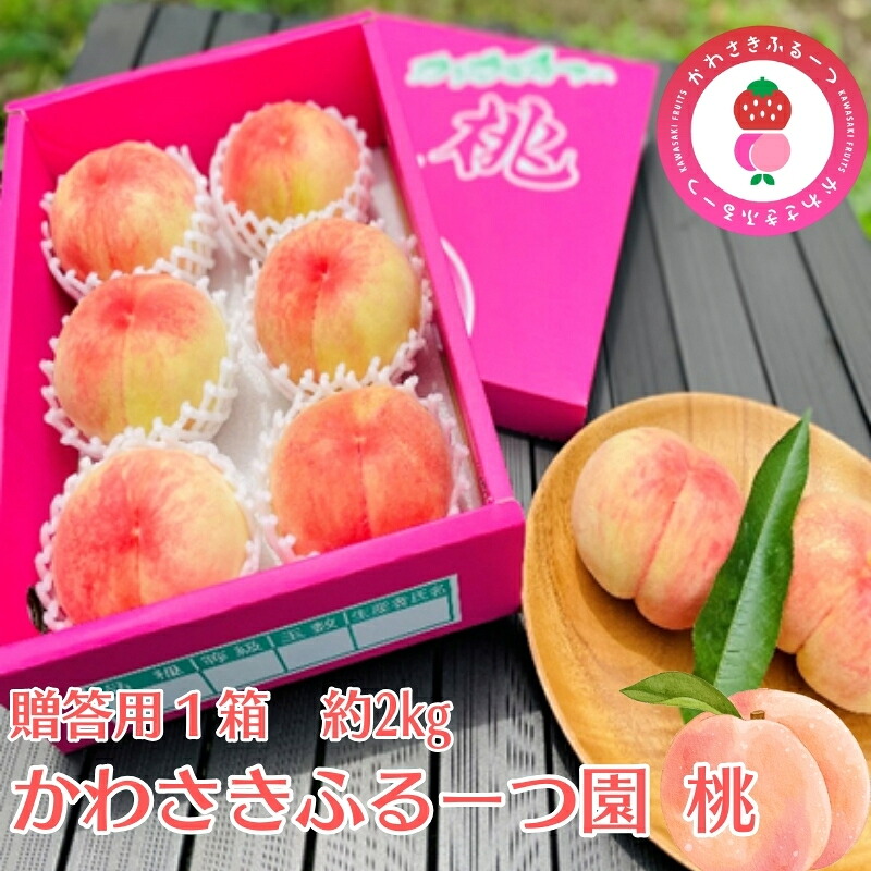 【ふるさと納税】かわさきふるーつ園直送 桃 贈答用1箱 約2kg お届け:2026年7月中旬~8月上旬|香川県観音寺市