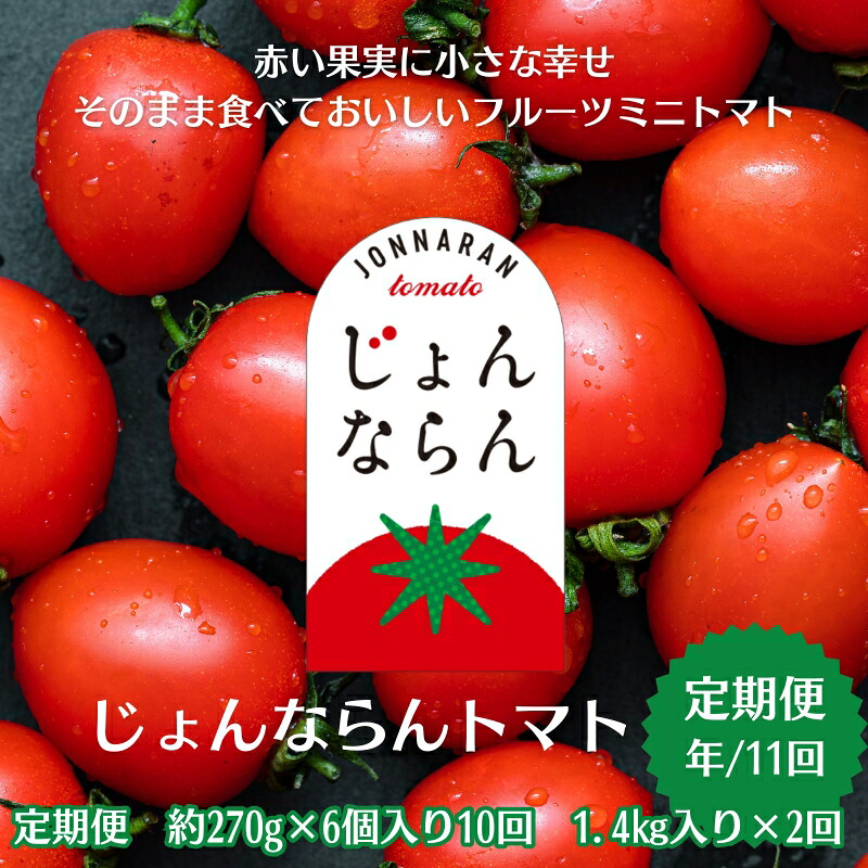 【ふるさと納税】モリヒロ園芸が育てたじょんならんトマトの定期便（年間11回） 野菜 ミニトマト 甘い フルーツ サラダ 　お届け：ご寄附（入金）頂いた月の翌月回より年間スタート致します。｜香川県観音寺市 72,600円