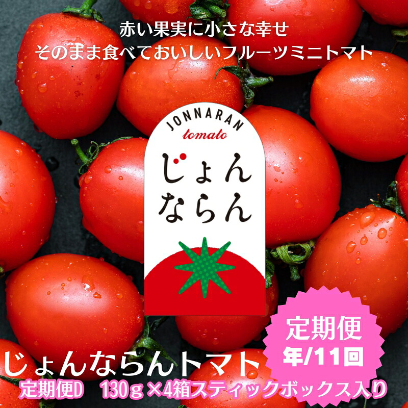 【ふるさと納税】モリヒロ園芸が育てたじょんならんトマトの定期便D　スティックボックス入り（年間11回） 野菜 ミニトマト 甘い フルーツ サラダ 　お届け：ご寄附（入金）頂いた月の翌月回より年間スタート致します。 57,200円