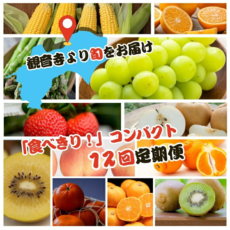 【ふるさと納税】【2026年受付】ご家庭用 食べきり 旬菜旬果フルーツ定期便 全12回 　お届け：寄附ご入金確認月の翌月以降の出荷月より12回お届けいたします。