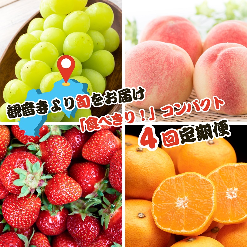【ふるさと納税】【2026年受付】ご家庭用 食べきり 旬果フルーツ定期便 全4回 　お届け：寄附ご入金確認月の翌月以降の出荷月より4回お届けいたします。｜香川県観音寺市