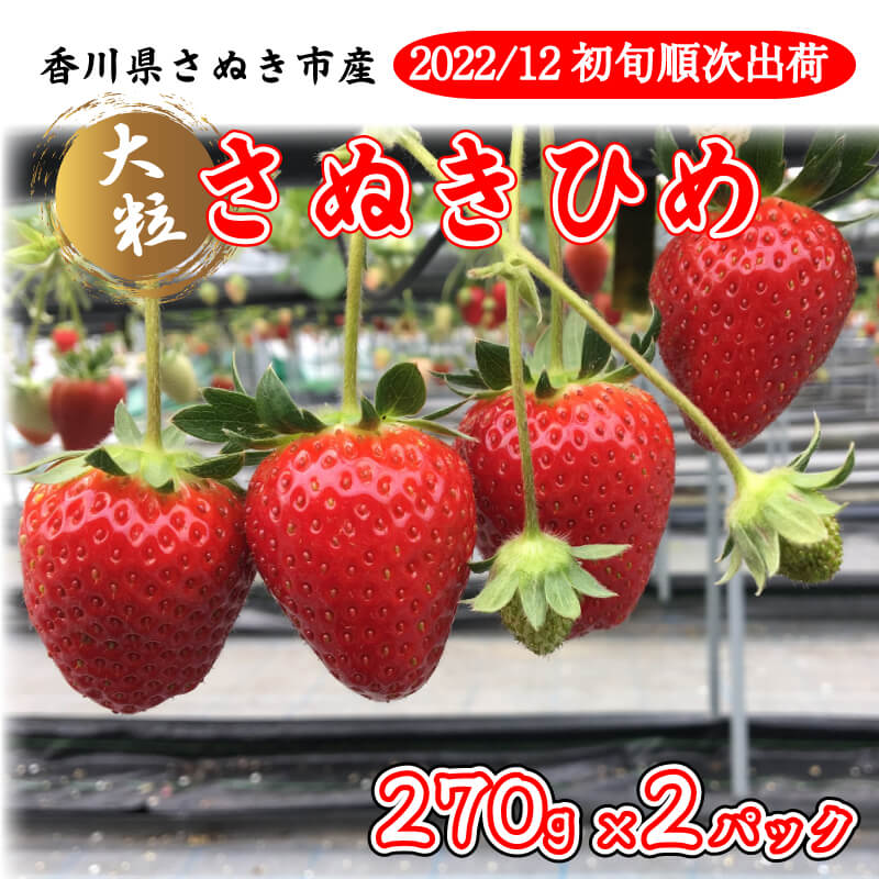 楽天市場】【ふるさと納税】 豚肉 ひき肉 ミンチ 国産 1.5kg 個包装 : 香川県さぬき市 ふるさと納税