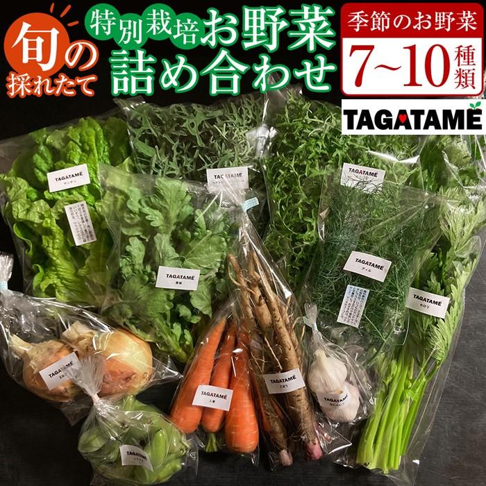 【ふるさと納税】特別栽培 旬の採れたて お野菜 7～10種類詰め合わせセット TAGATAME タガタメ【野菜 特別栽培 有機野菜 農薬不使用 採れたて さぬき市】