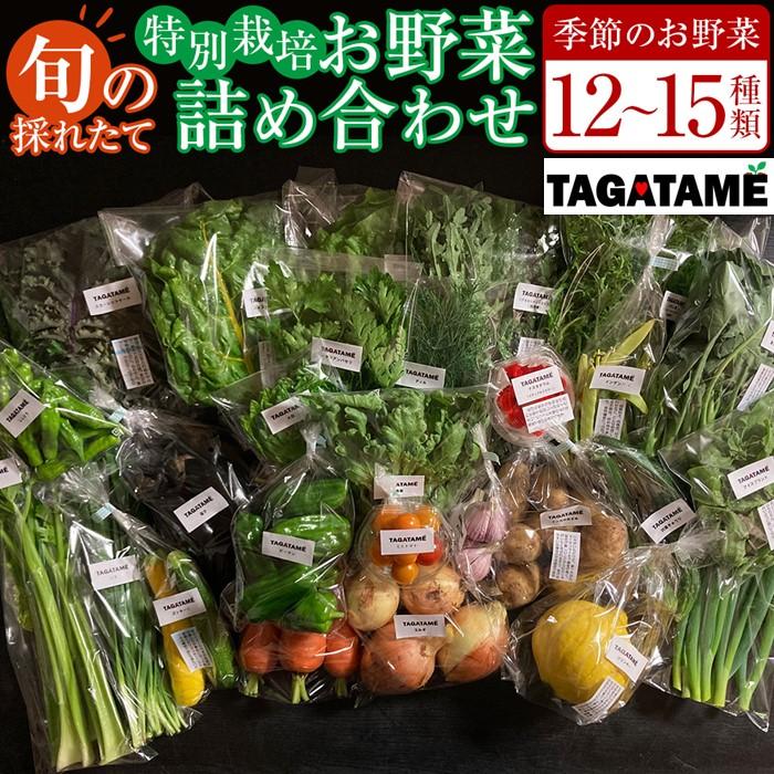 【ふるさと納税】特別栽培 旬の採れたて お野菜 12~15種類詰め合わせセット TAGATAME タガタメ【野菜 特別栽培 大容量 有機野菜 農薬不使用 採れたて さぬき市】