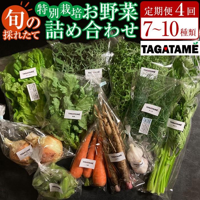 【ふるさと納税】【定期便全4回】旬の採れたて 7～10種類お野菜詰め合わせセット TAGATAME タガタメ【野菜 特別栽培 有機野菜 農薬不使用 採れたて 香川県 さぬき市】