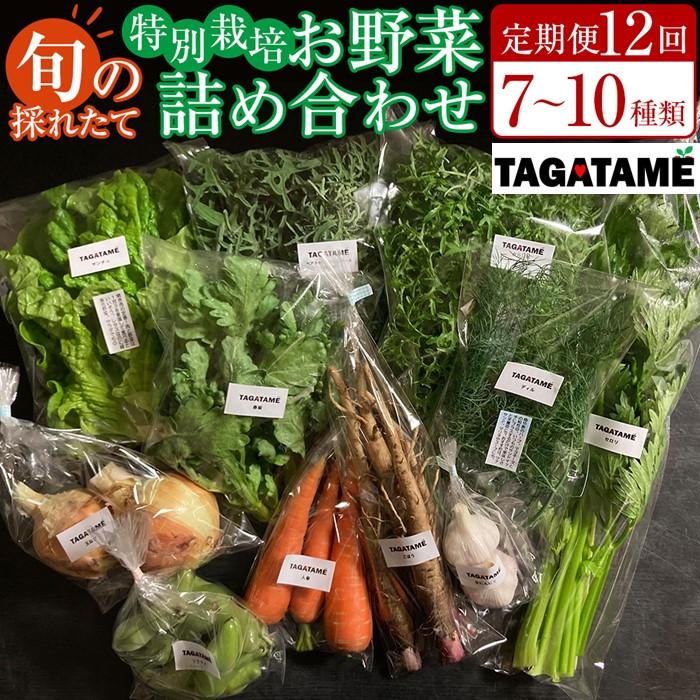 【ふるさと納税】【定期便全12回】旬の採れたて 7～10種類お野菜詰め合わせセット(1～2名様) TAGATAME タガタメ【野菜 特別栽培  有機野菜 農薬不使用 旬 採れたて 香川県 さぬき市】