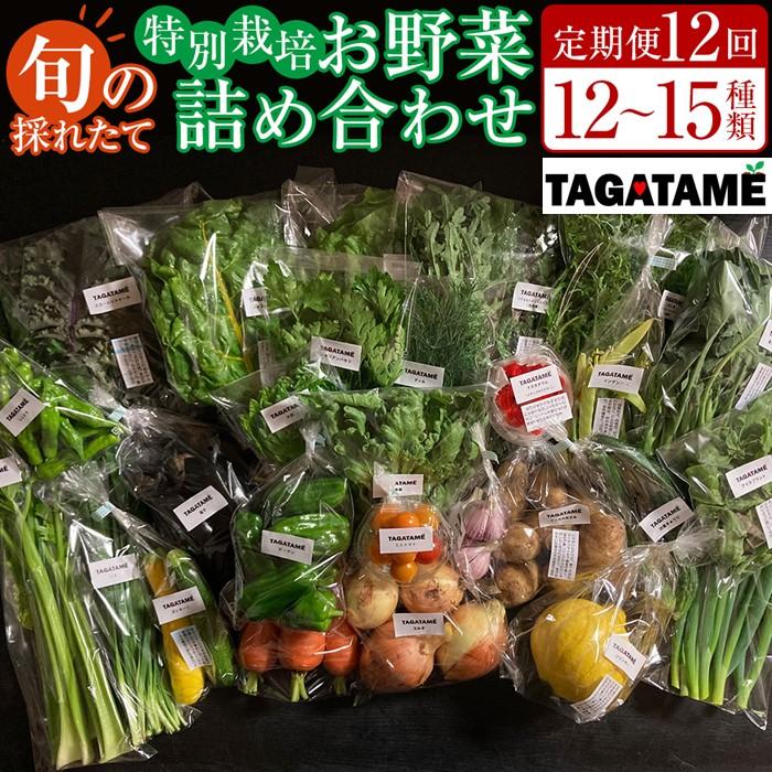 【ふるさと納税】【定期便全12回】旬の採れたて 12～15種類お野菜詰め合わせセット(3～4名様) TAGATAME タガタメ【野菜 特別栽培  有機野菜 農薬不使用 旬 採れたて 香川県 さぬき市】