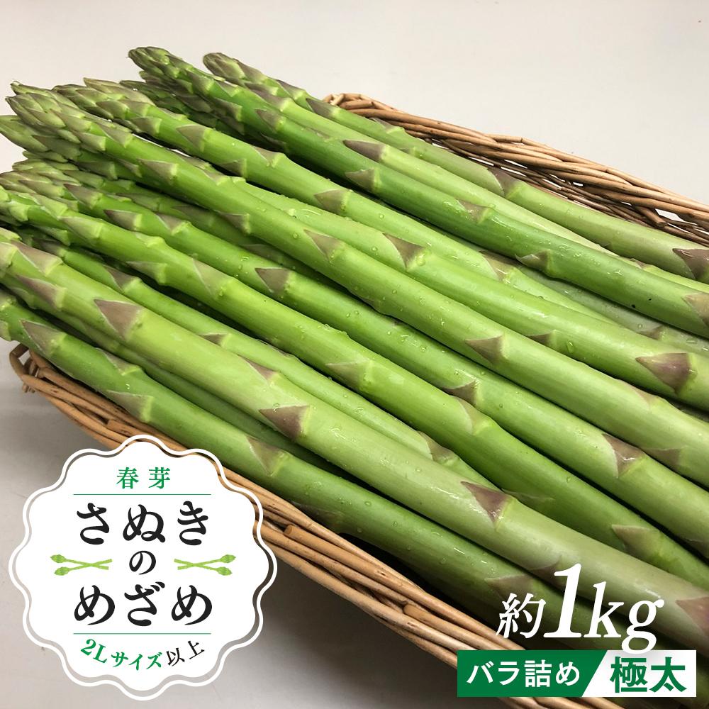 【ふるさと納税】【2月下旬頃～発送】カトちゃんさぬきのめざめロング 春芽 1kg 極太 2L以上 | アスパラガス アスパラ 野菜 やさい お取り寄せ 送料無料 春芽 旬 期間限定 10,360円