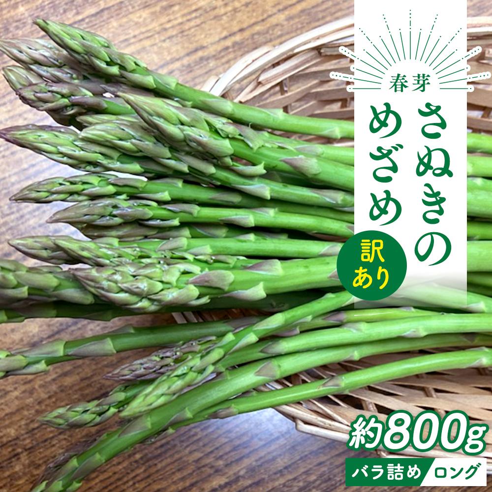 【ふるさと納税】【2月中旬頃～発送】訳あり 規格外 さぬきのめざめ ロング 約800g 春芽