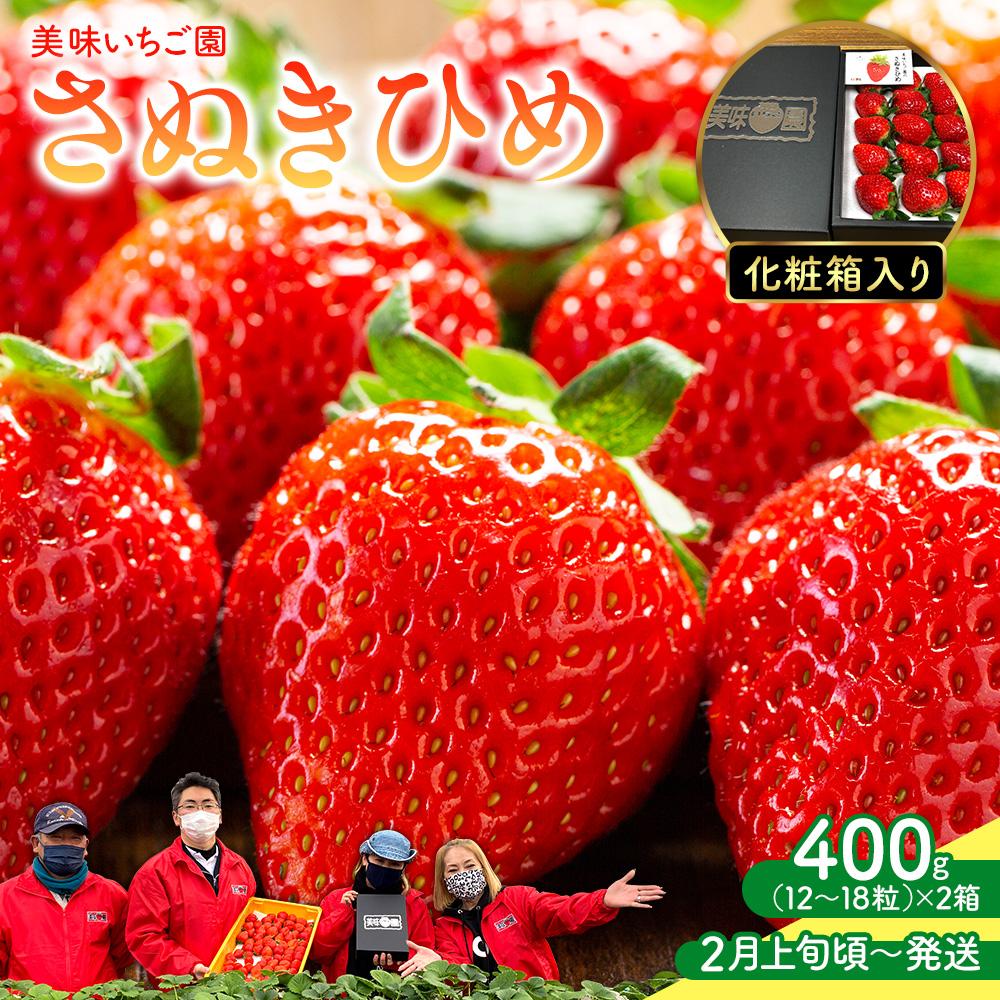 【ふるさと納税】【2月上旬頃～発送】美味いちご園「さぬきひめ」さぬきひめ 400g 化粧箱入り×2箱 | いちご 苺 さぬきひめ くだもの 果物 フルーツ スイーツ 特産品 デザート 旬 期間限定