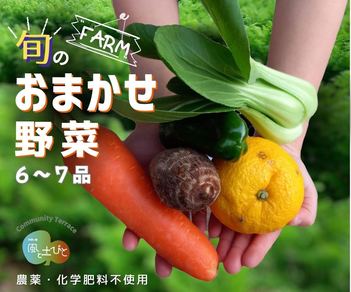 【ふるさと納税】【農薬・化学肥料不使用】旬のお野菜おまかせセット 6～7品