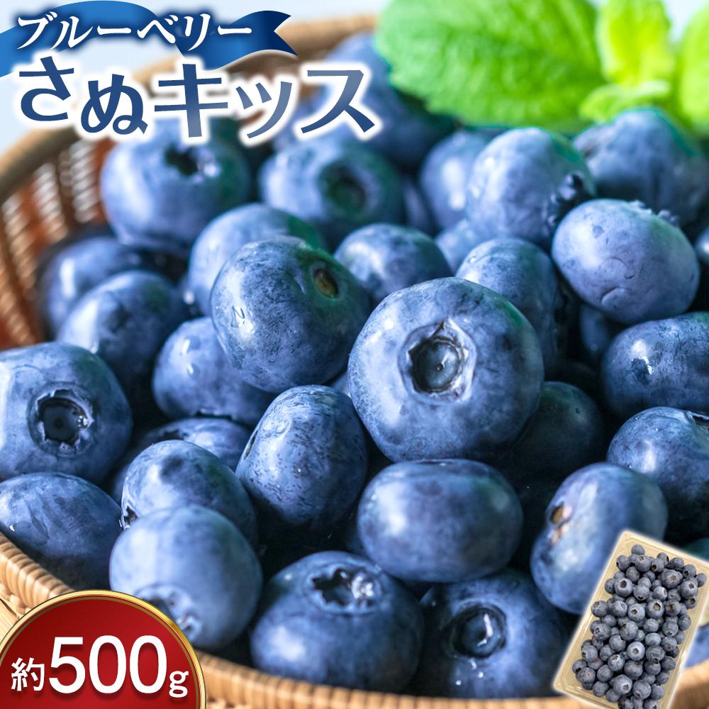 【ふるさと納税】ブルーベリー さぬキッス 約500g