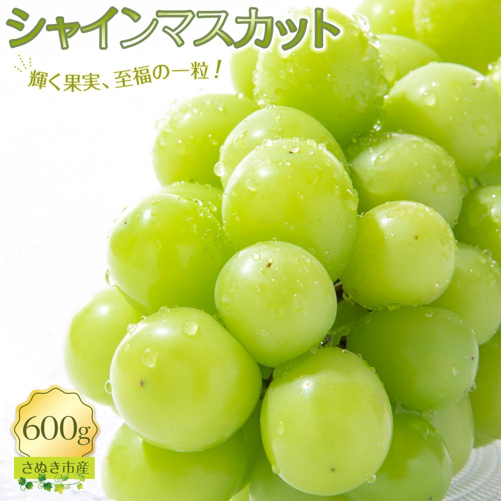 【ふるさと納税】【9月上旬から発送】シャインマスカット 600g【先行予約 朝採り出荷 厳選 シャインマスカット 旬のフルーツ ぶどう 香川県 さぬき市】