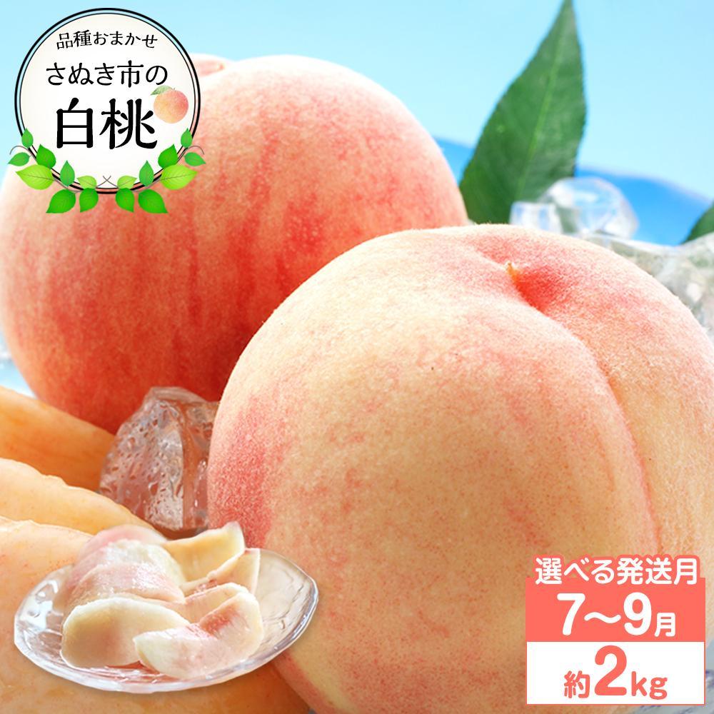【ふるさと納税】【先行予約】【出荷時期が選べる】さぬき市の白桃 約2kg 7月～9月発送 品種おまかせ
