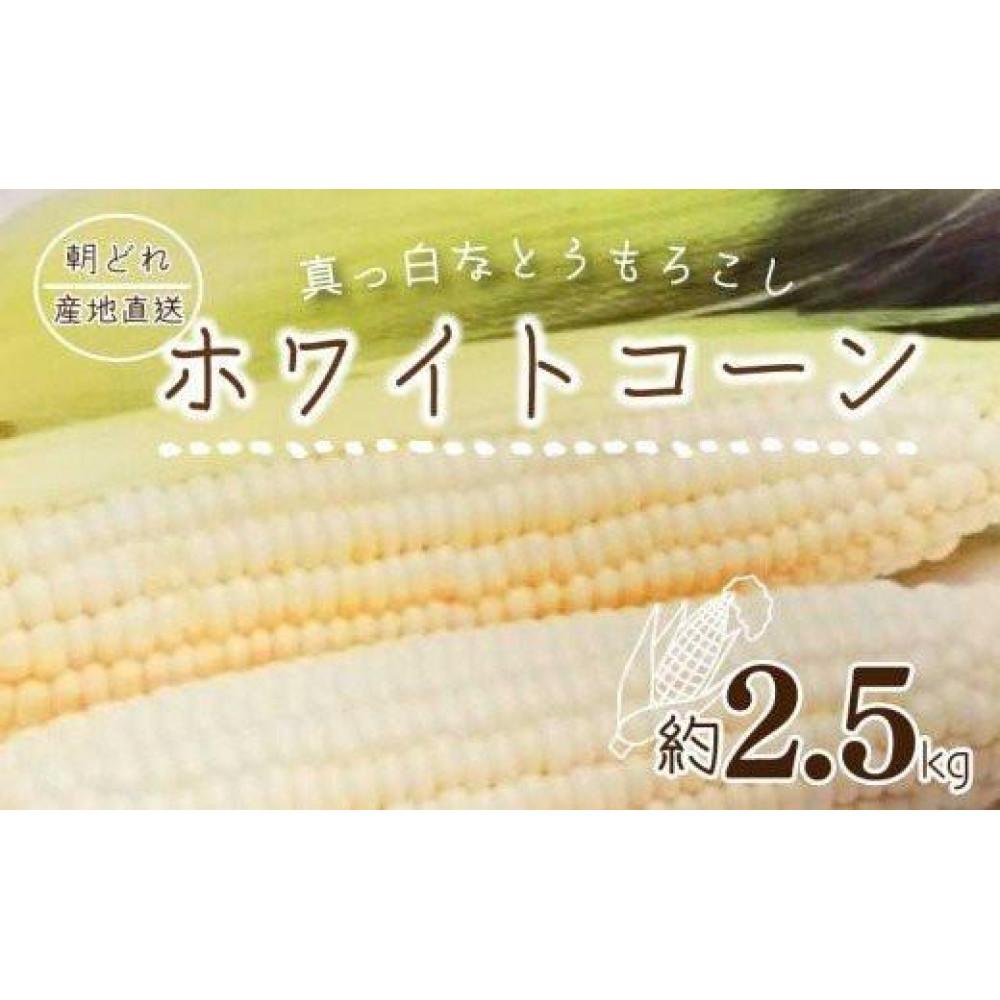 【ふるさと納税】【6月上旬頃～発送】朝採れ とうもろこし ホワイトコーン 約2.5kg (6～10本前後) 甘い 夏 野菜 香川県 国産