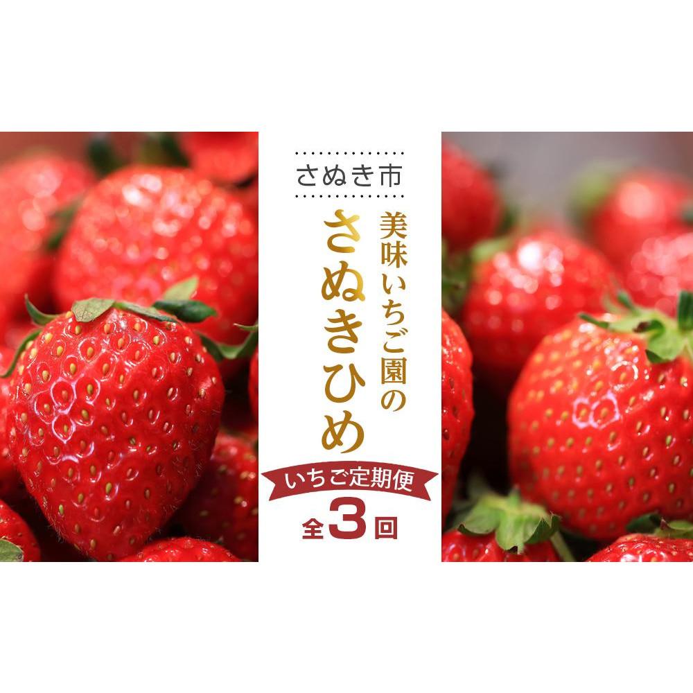 【ふるさと納税】【全3回】美味いちご園のさぬきひめいちご定期便
