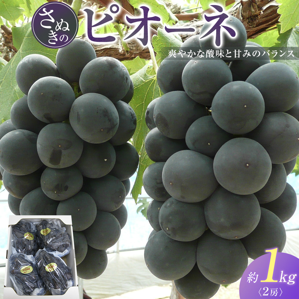 【ふるさと納税】ピオーネ ぶどう 葡萄 約1kg (2房) | ぶどう 葡萄 ピオーネ 巨峰 果物 フルーツ スイーツ 特産品 デザート 旬 期間限定｜香川県さぬき市　ふるさと納税
