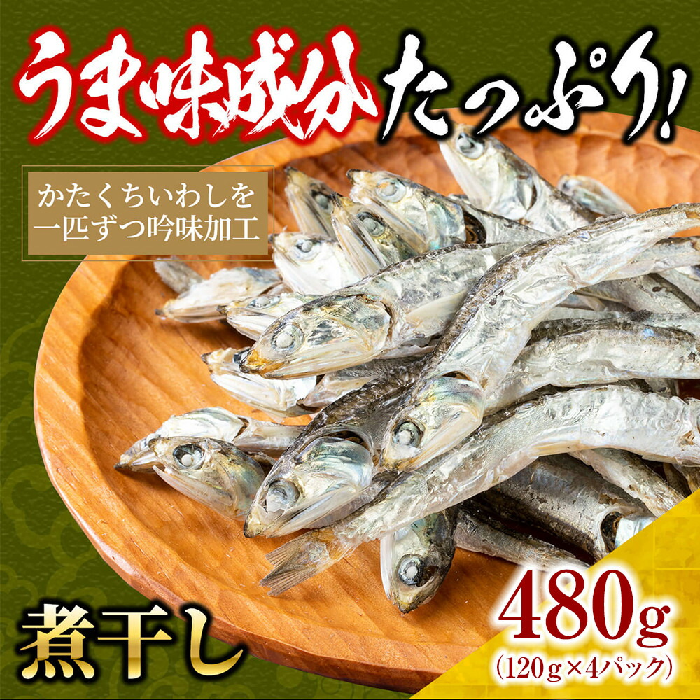 【ふるさと納税】煮干し 480g(120g&times;4)【小分け セット いわし 鰯 カタクチイワシ 人気 出汁 おやつ おつまみ 香川県 さぬき市】｜香川県さぬき市　ふるさと納税 7,500円