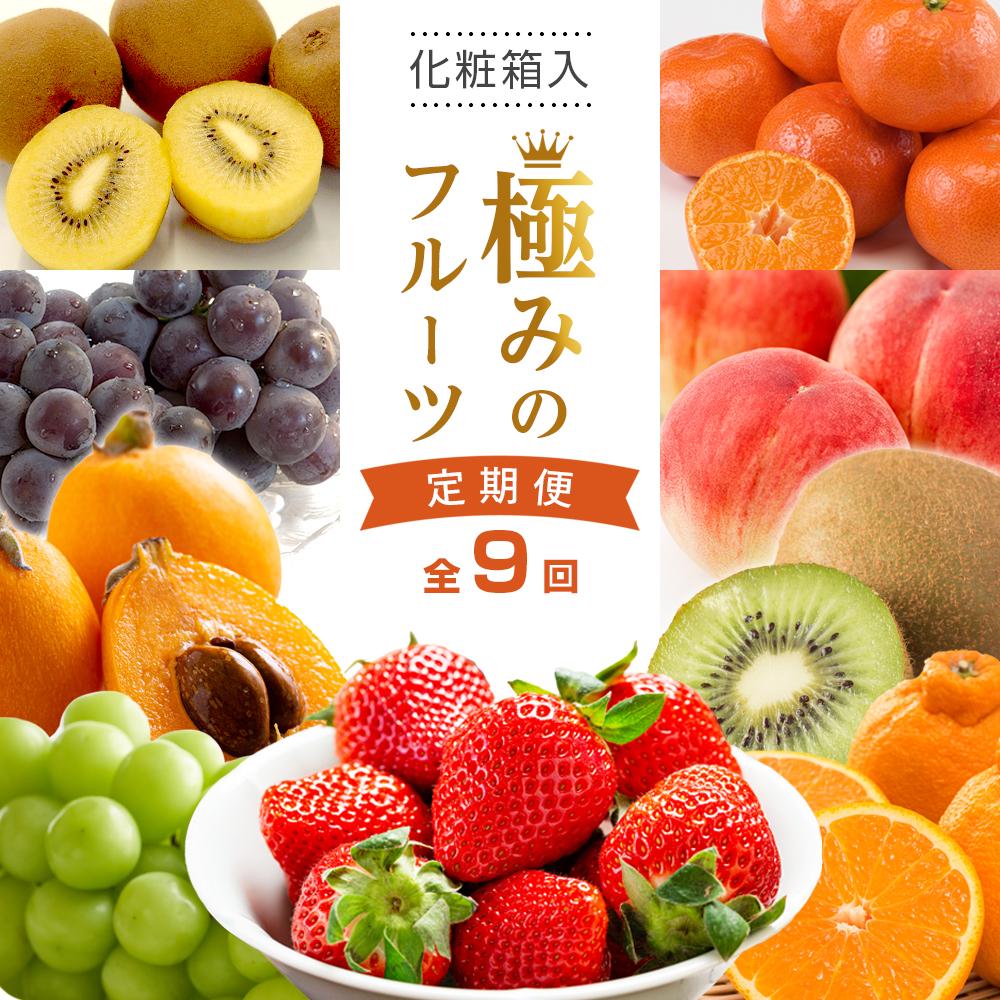 【ふるさと納税】【全9回】極みのフルーツ定期便 (化粧箱入り) | くだもの 果物 フルーツ 定期便 グリーンキウイ いちご デコポン びわ もも ピオーネ シャインマスカット ゴールドキウイ みかん 特産品 デザート
