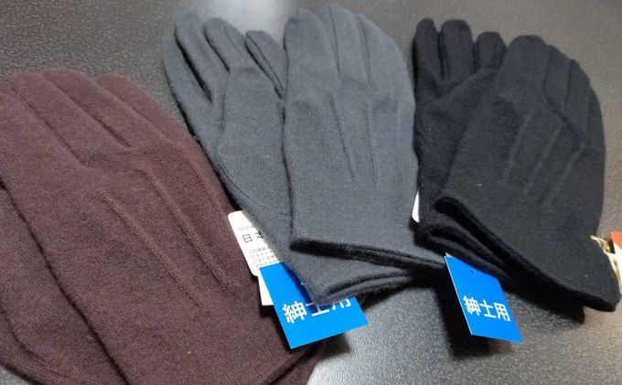 ふるさと納税 メンズ手袋 ファッション 小物 メンズ手袋 メンズ 手袋 Schwimmbad Delphine De