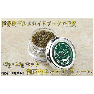 ふるさと納税 アムールチョウザメ 生キャビア 15g 25g 各1個セット 魚貝類 Bridgenc Com