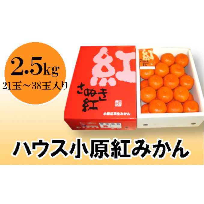 正規激安 ふるさと納税 ハウス小原紅早生みかん さぬき紅 約2 5kg 果物類 みかん 柑橘類 フルーツ お届け 年6月下旬 7月下旬 Dishub Indramayukab Go Id