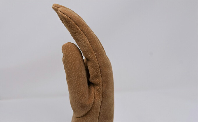 柔らかい ふるさと納税 メンズ ガンカット豚革手袋 ファッション ファッション小物 豚革手袋 手袋 メンズ手袋 高級感 Agribiz Kenyacic Org