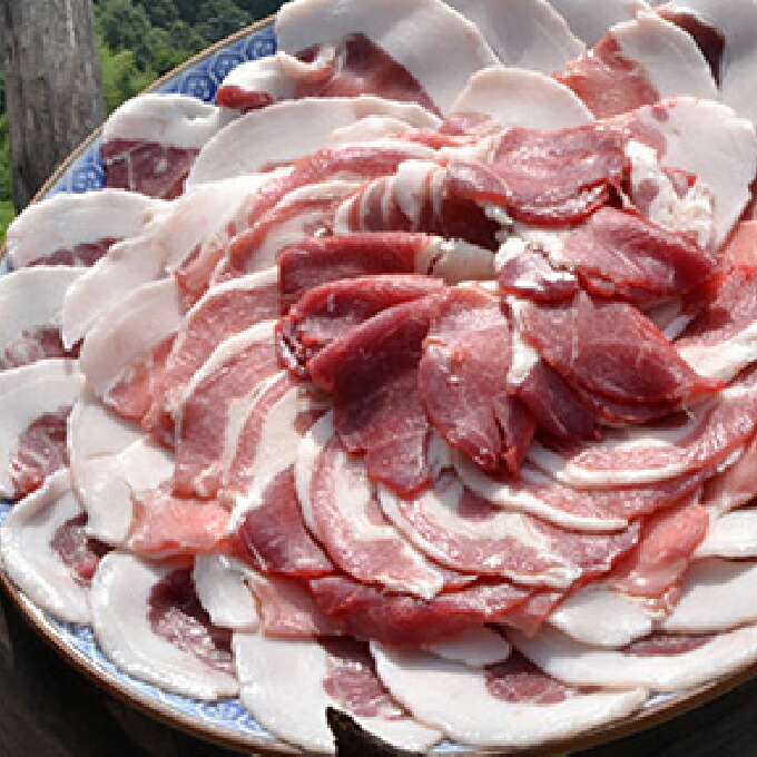【ふるさと納税】自然の恵み【五名産猪肉】700g
