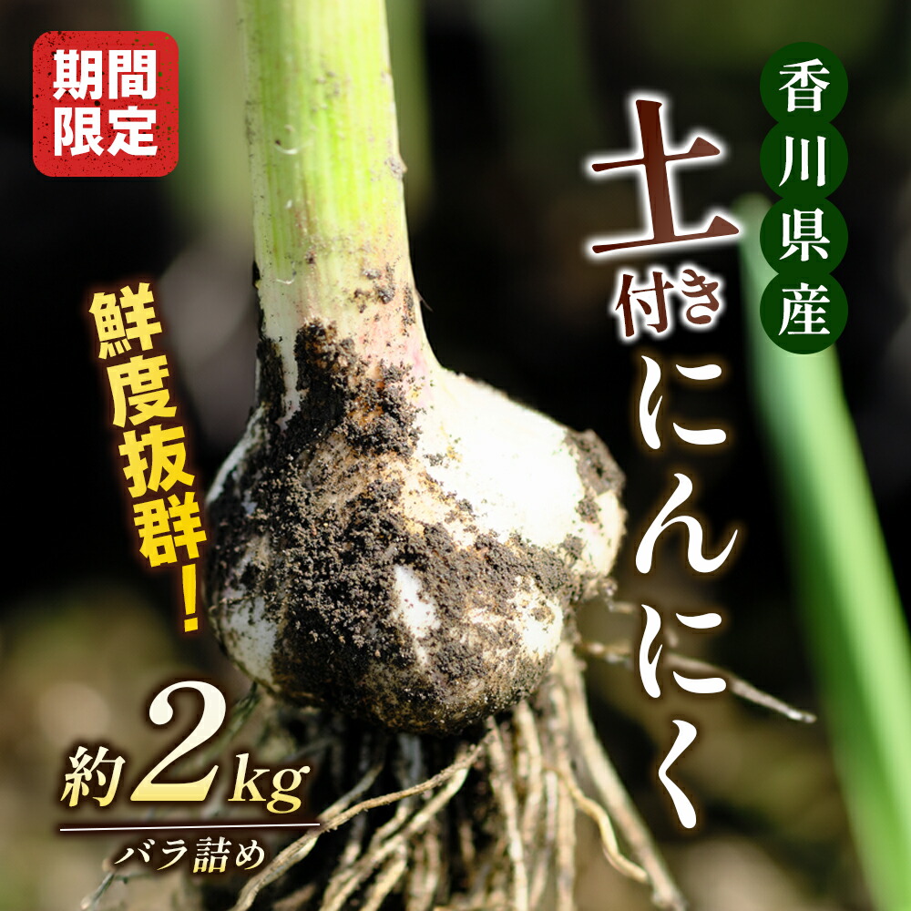【ふるさと納税】鮮度抜群！土付きにんにく 2kg 野菜 根菜 　お届け：2025年5月上旬～6月上旬