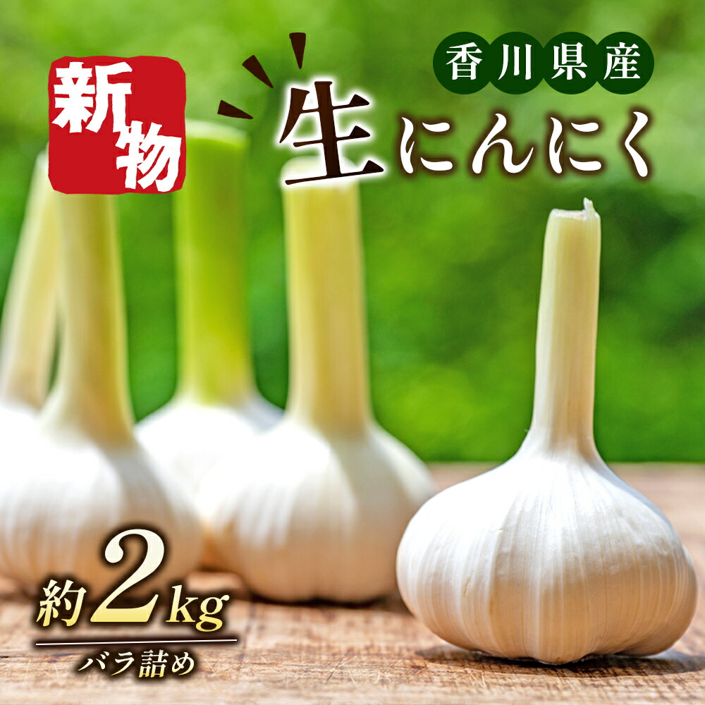 【ふるさと納税】生にんにく（新物）2kg 野菜 根菜 　お届け：2025年5月中旬～6月上旬