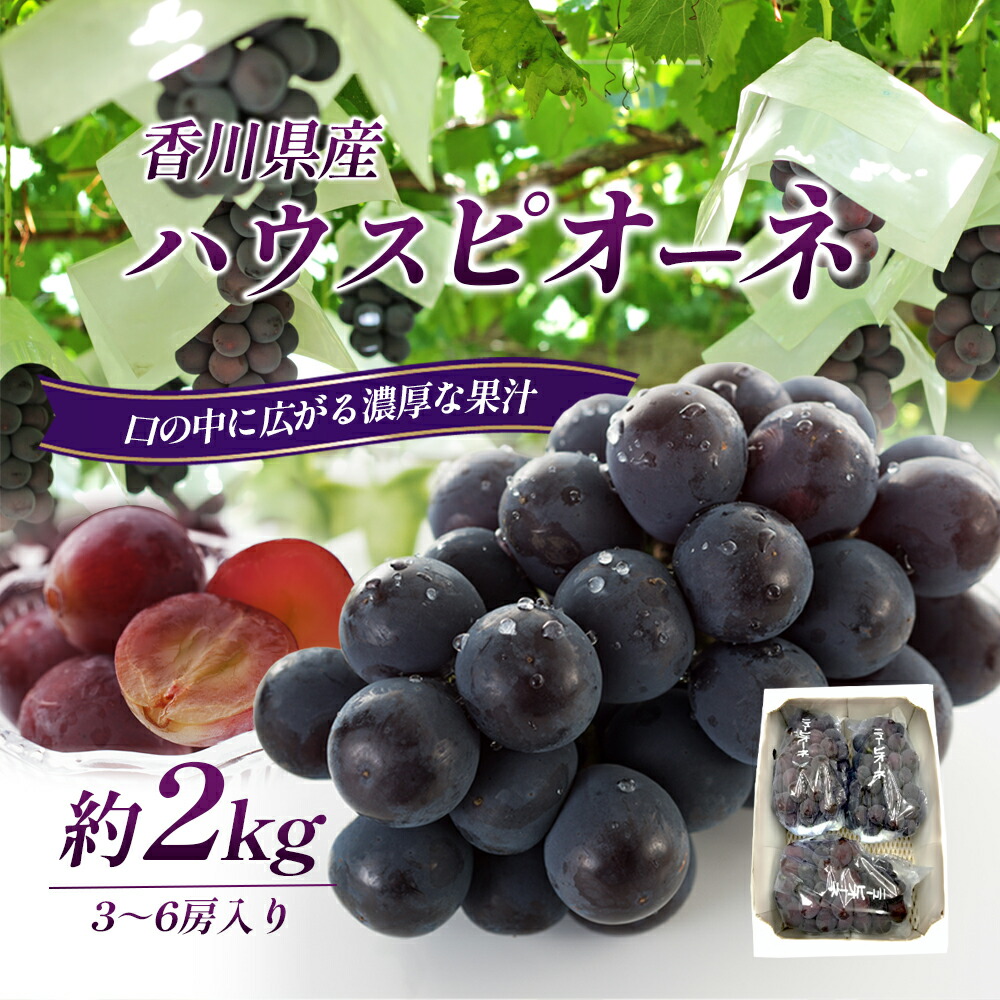 【ふるさと納税】ハウスピオーネ 大房 3～6房 2kg 化粧箱 黒い真珠 ピオーネ 葡萄 ぶどう ブドウ フルーツ 果物 くだもの 果実 旬の果物 旬のフルーツ 贈答用 ギフト プレゼント 香川 香川県 東かがわ市　お届け：2025年7月上旬～8月中旬