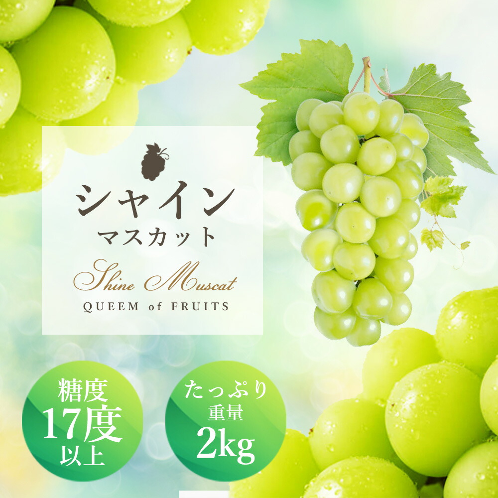 【ふるさと納税】最高級 ハウスシャインマスカット 2～5房 2kg 糖度17度以上 化粧箱 極上 シャインマスカット マスカット 葡萄 ぶどう ブドウ フルーツ 果物 果実 旬の果物 旬のフルーツ ギフト プレゼント 香川 香川県 東かがわ市　お届け：2025年7月中旬～8月中旬