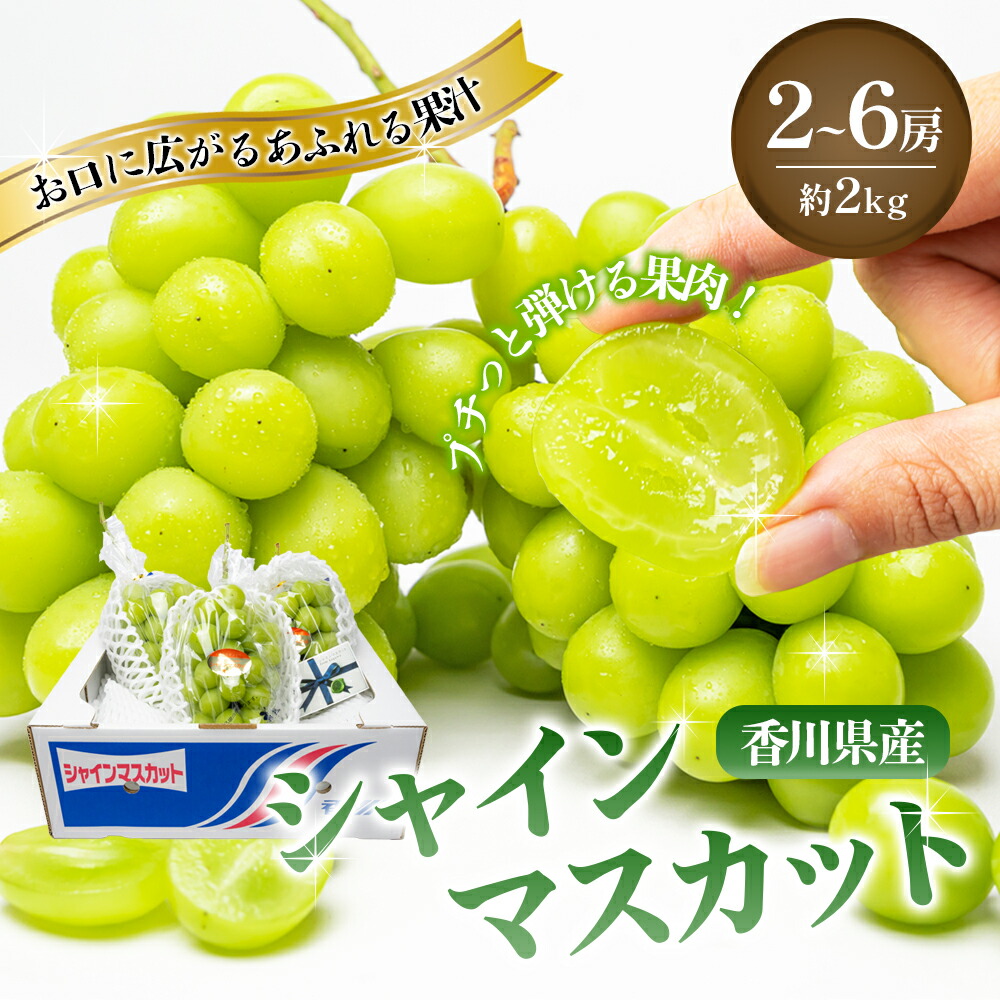 【ふるさと納税】瀬戸内のシャインマスカット 2～6房 2kg シャインマスカット マスカット 葡萄 ぶどう ブドウ フルーツ 果物 くだもの 果実 旬の果物 旬のフルーツ 香川 香川県 東かがわ市　お届け：2025年8月中旬～10月中旬