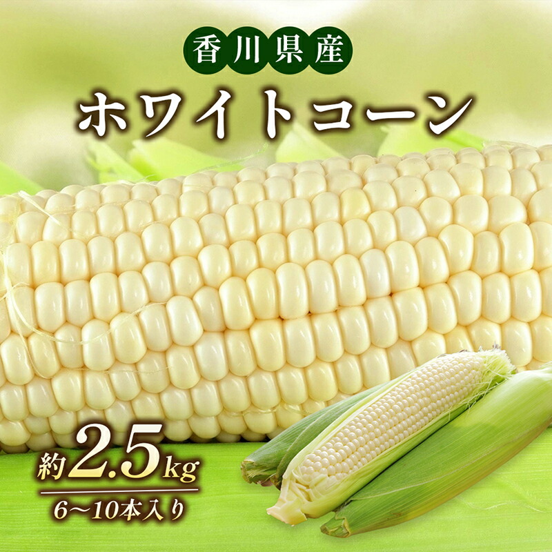 【ふるさと納税】ホワイトコーン 約2.5kg 野菜 とうもろこし 野菜セット 　お届け：2025年6月中旬～7月上旬